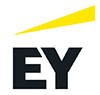 Ey Transforma Servicio De Consultoría, Sl