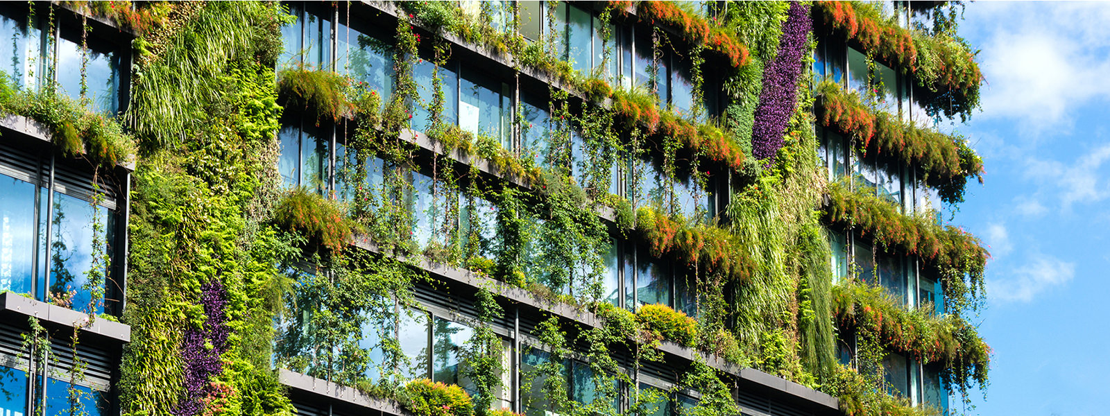 Interprete oleada si Postgrado en Arquitectura Medioambiental y Urbanismo Sostenible | La Salle  | Campus Barcelona