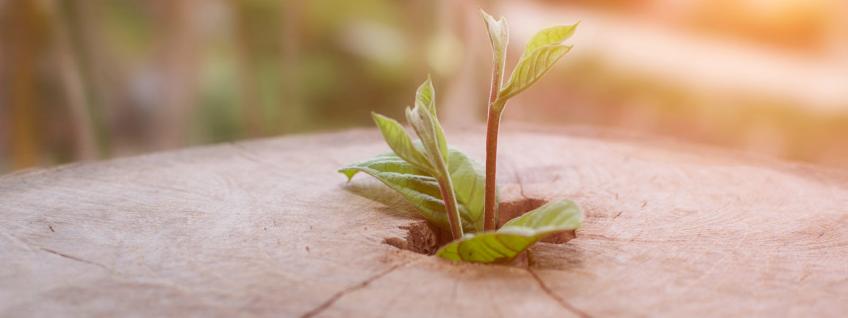 Innovation, La Salle’s DNA